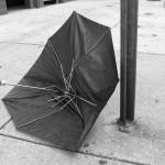 Broken umbrella, lika a dead bird.