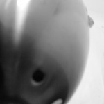 Close up of metal lamp.