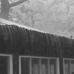 Rain.