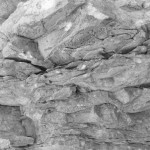 Rock detail.