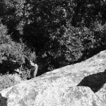 Very long way down.