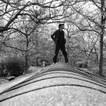 Up on the roof, again.