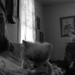With Rascal.