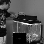 Feeding the fish.