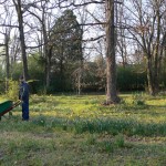 Blue uniform and green wheelbarrow.