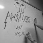 Apoptosis.