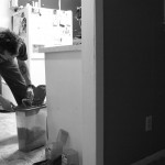 Feeding the cats.