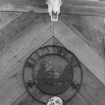 Creepy hovering cow skull.