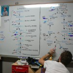 Brain Explode!