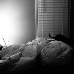 Cocooned.